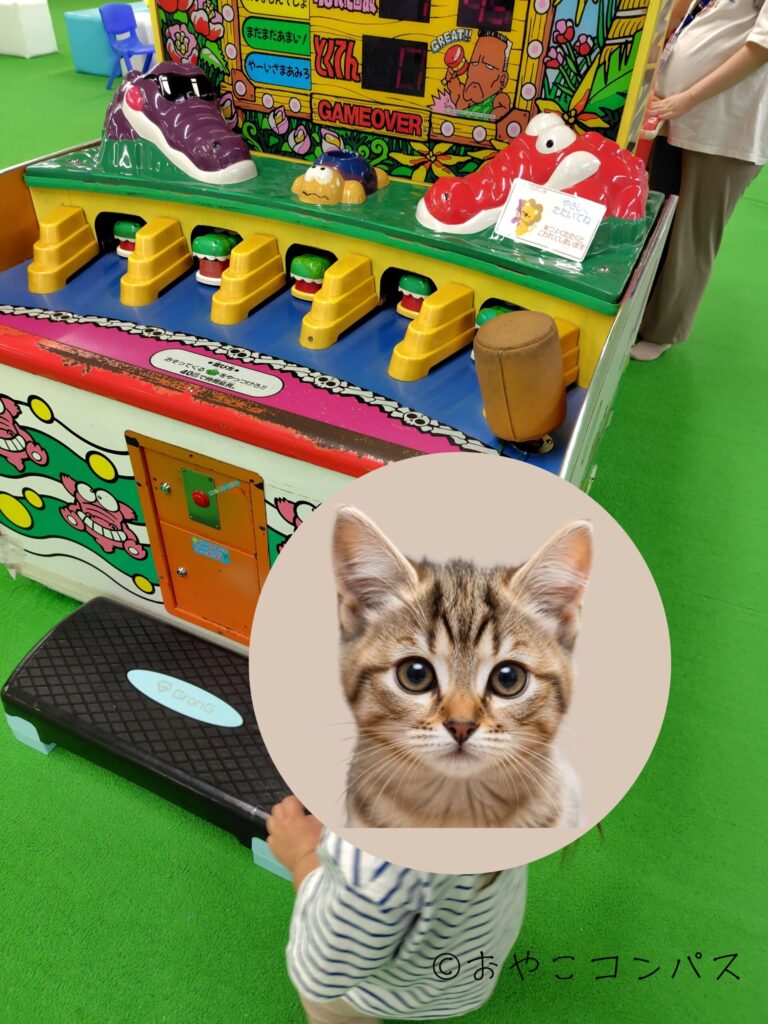 キッズランドUS_ワニワニ