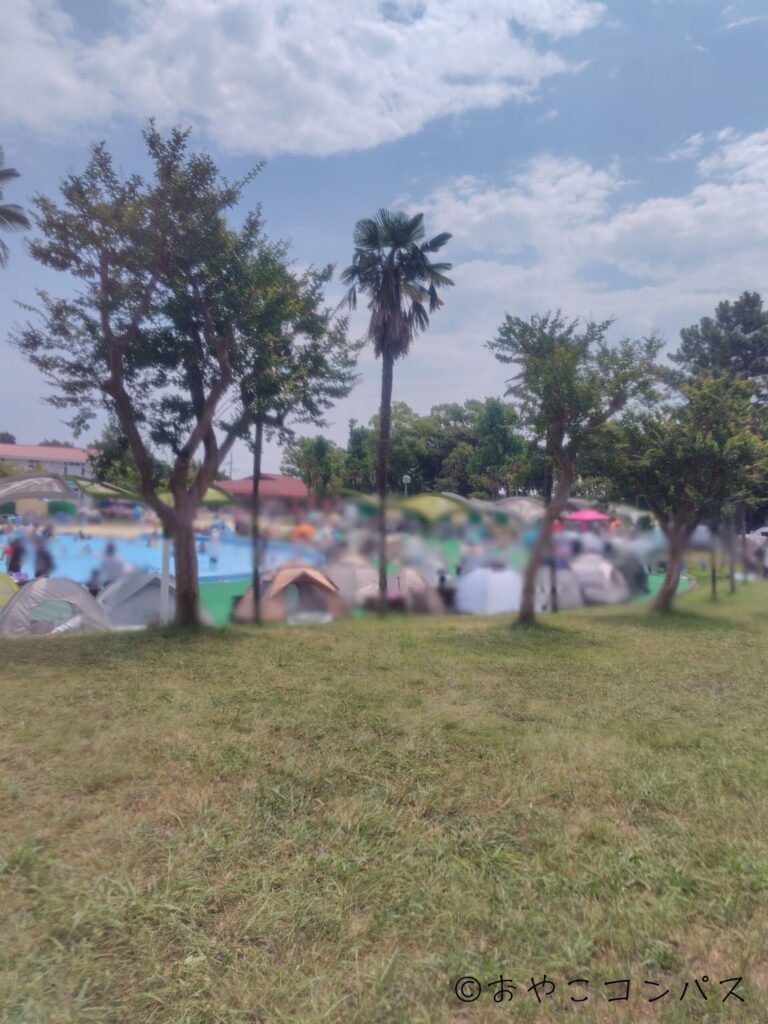 しらこばと夏季プール_11時頃のお客さん