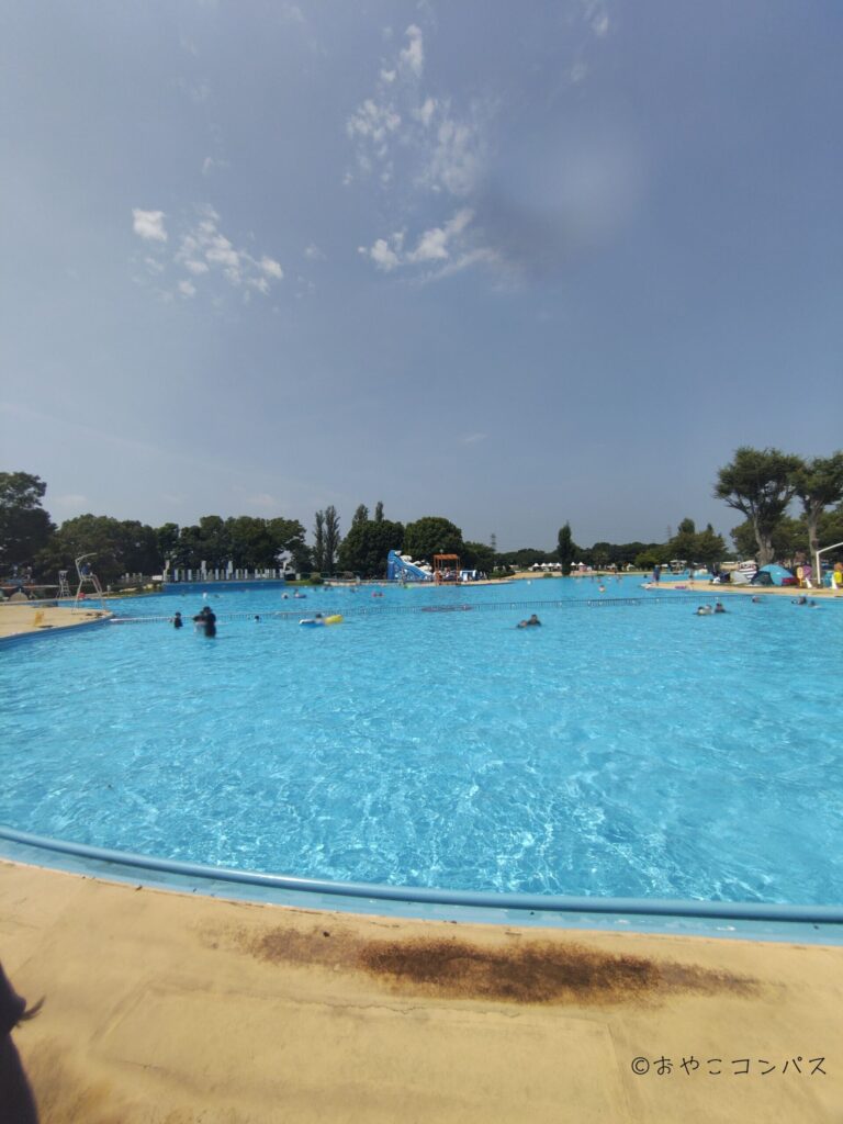 しらこばと夏季プール__変形プール