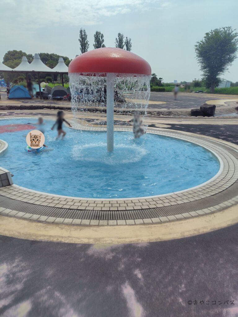 しらこばと夏季プール__遊戯プール