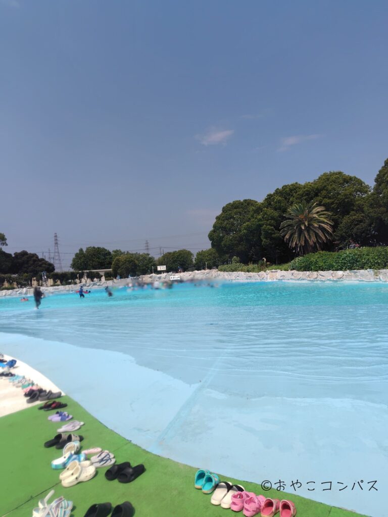 しらこばと夏季プール_さざなみプール