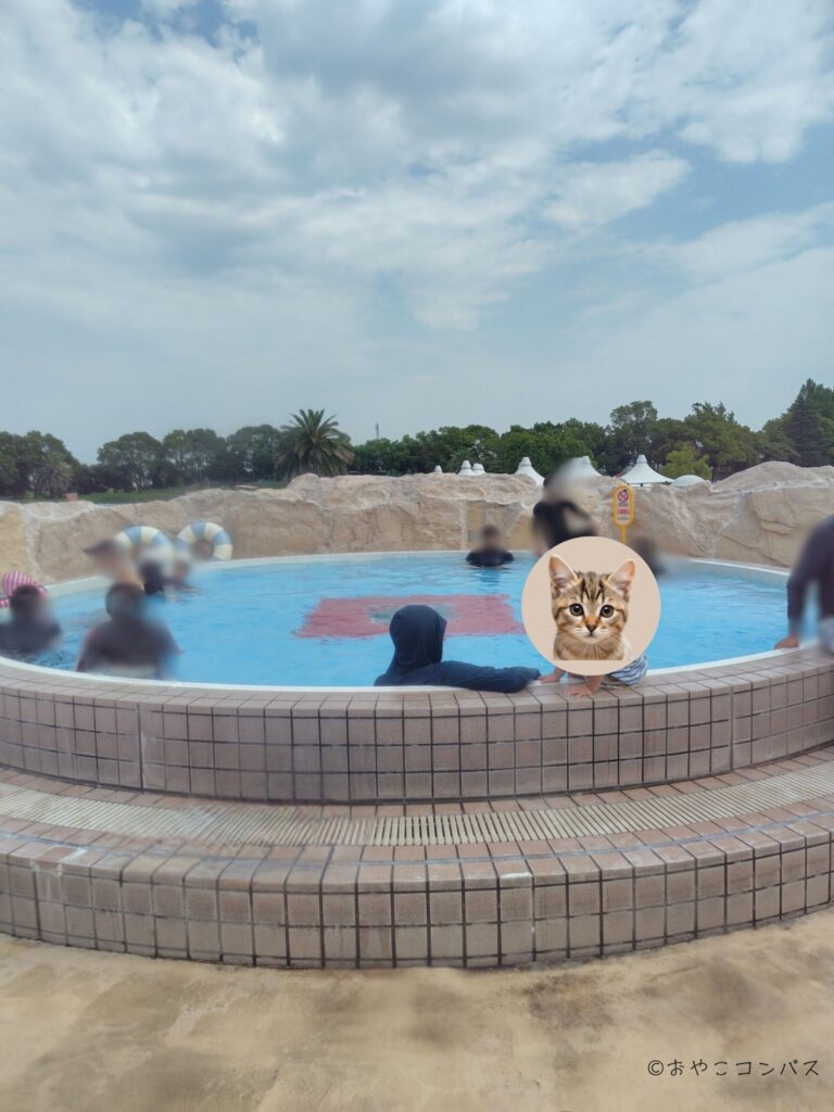しらこばと夏季プール_ジェットプール