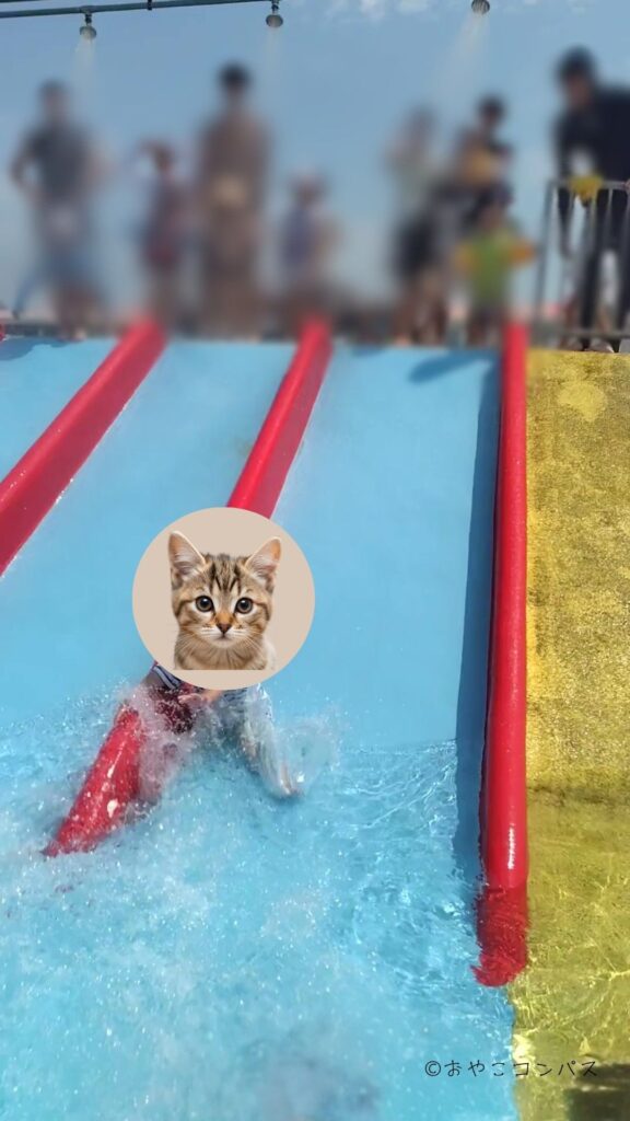 しらこばと夏季プール_幼児プール滑り台