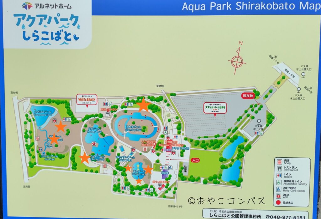 しらこばと夏季プール_無料屋根エリア